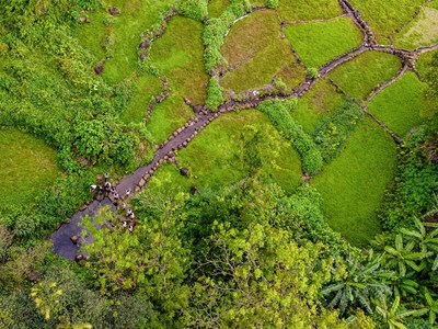 Quảng Trị: Đảm bảo điều kiện tốt nhất đón khách mùa du lịch hè 2026
