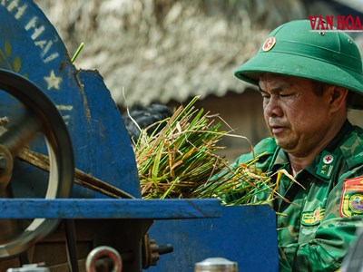 Mùa vàng nơi biên giới