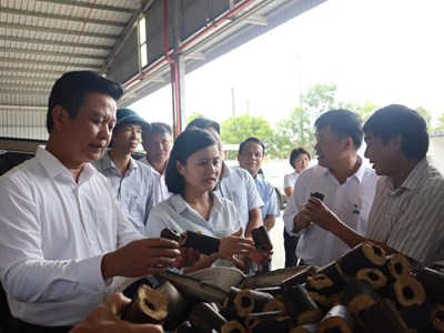 Quảng Trị: Khơi thông nguồn lực, tạo sinh kế bền vững cho người dân
