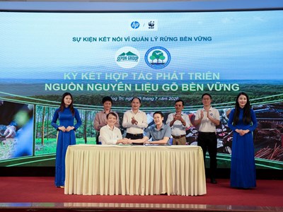 Trồng rừng bền vững để nâng giá trị cho những cánh rừng