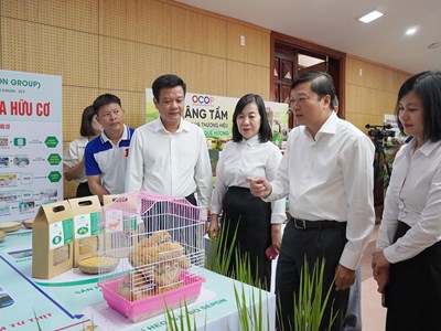 Hướng đi tất yếu để Quảng Trị nâng tầm giá trị nông sản