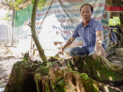 Nối lại không gian ký ức vua Hàm Nghi