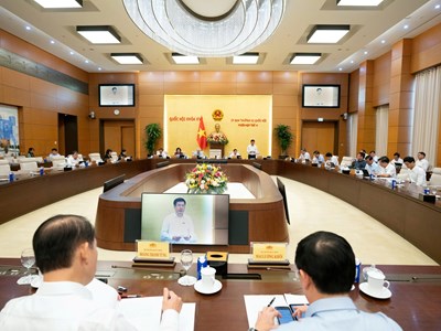 Luật Đấu giá tài sản (sửa đổi) siết tình trạng “cò mồi”, bỏ cọc