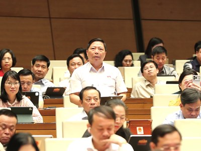 Đại biểu Quốc hội đề nghị xác định rõ “biên giới” của Luật Xuất bản trên không gian mạng