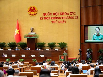 Trình Quốc hội dự án Bộ luật Hình sự (sửa đổi)