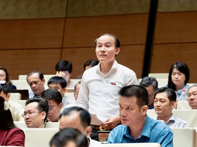 Đại biểu Quốc hội: Một quyết định sai về lấn biển có thể phải trả giá bằng cả một di sản