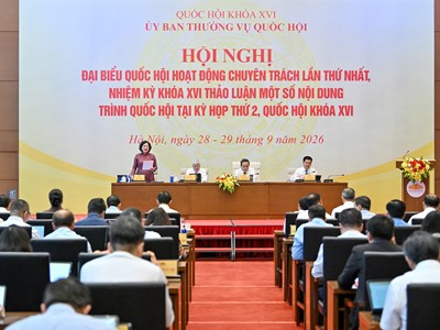 Không miễn trừ trách nhiệm với hành vi cố ý vi phạm, lừa đảo, trục lợi trong chứng khoán