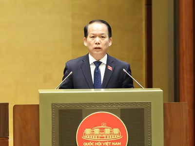 Ngăn chặn triệt để tình trạng “cò mồi”, bổ sung chế tài với hành vi “bỏ cọc” và trục lợi đấu giá