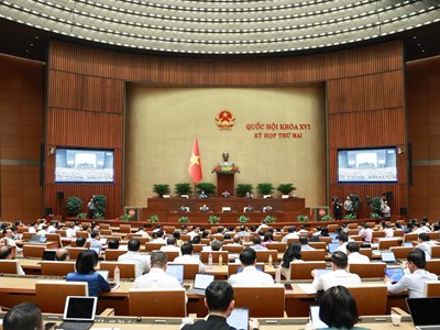 Quốc hội thảo luận về dự thảo Bộ luật Hình sự (sửa đổi)