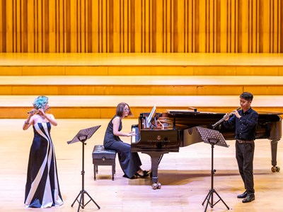 Nghệ sĩ flute Lê Thư Hương biểu diễn tại chương trình hòa nhạc Việt Nam - Áo