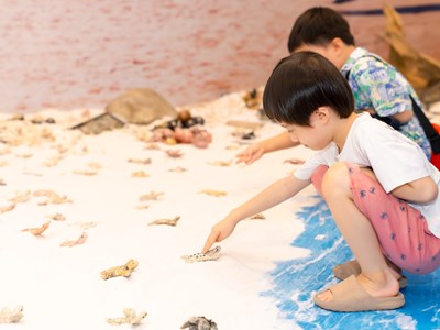 1.001 rùa biển bằng gốm được trưng bày tại triển lãm “Phiêu”