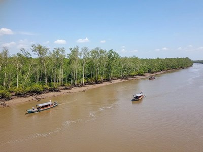 Quy hoạch phát triển Cù Lao Dung thành trung tâm du lịch sinh thái - nghỉ dưỡng cao cấp 
