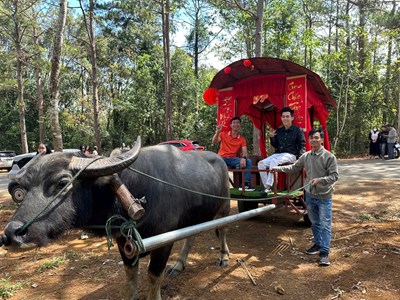 Từ xe trâu kéo đến hướng đi du lịch cộng đồng Măng Đen