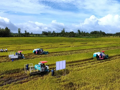 Doanh nghiệp, hiệp hội chung tay giữ nhịp sản xuất nông nghiệp