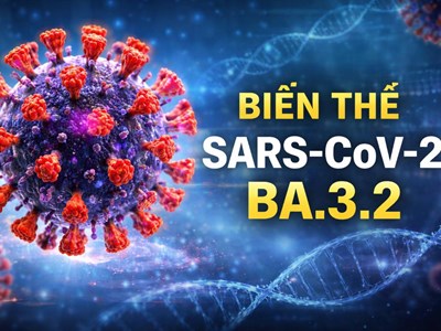 Biến thể Covd-19 “ve sầu” lan rộng toàn cầu, Hà Nội bắt đầu tăng ca