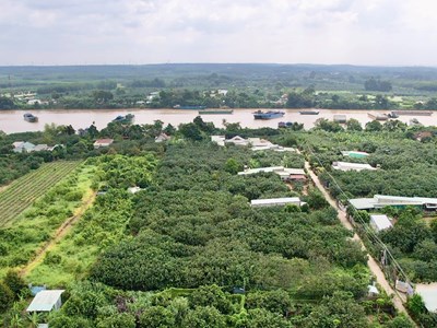 Cầu Tân Hiền mở hướng kết nối du lịch Đồng Nai - TP.HCM