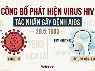 Công bố phát hiện virus HIV gây bệnh AIDS