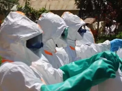 Ebola lan rộng ở Trung Phi, WHO hối thúc phối hợp xuyên biên giới