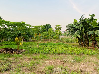 Đại lộ sông Hồng: Những ai phải di dời, được tái định cư ở đâu?