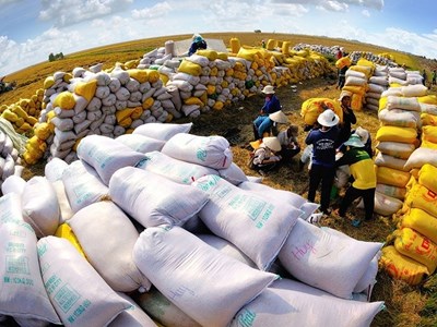 Giá lương thực cao nhất gần bốn năm: Giá đường dẫn đà tăng, cao lương bật 13,7%