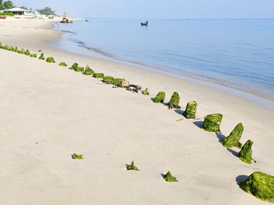 Tàu cổ Cẩm An sẽ được khai quật khi nào?