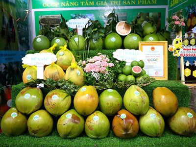 Festival 100 năm Dừa sáp Trà Vinh “Hương vị miền đất phúc”