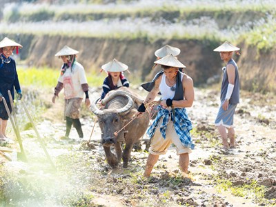 “Show ăn cơm” thành hiện tượng triệu view “chữa lành”