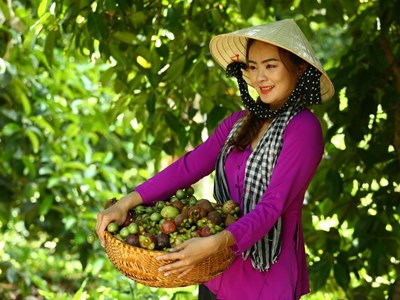 Thu hút khoảng 100 gian hàng