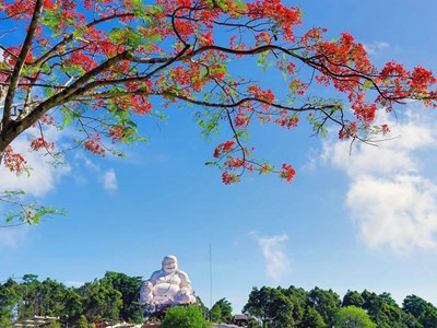 Hè về, Cấm Sơn rực rỡ sắc màu