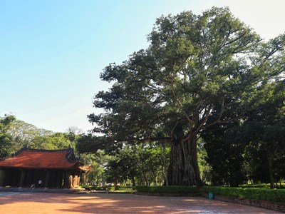 Cố đô Lam Kinh và tính sử thi hùng tráng