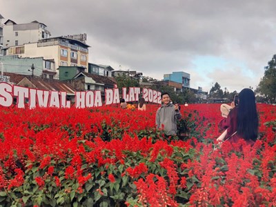 Nhiều chương trình văn hóa – du lịch hấp dẫn tại Festival Hoa Đà Lạt 2024
