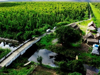 Cà Mau phát triển 6 tuyến du lịch tại Vườn Quốc gia U Minh Hạ