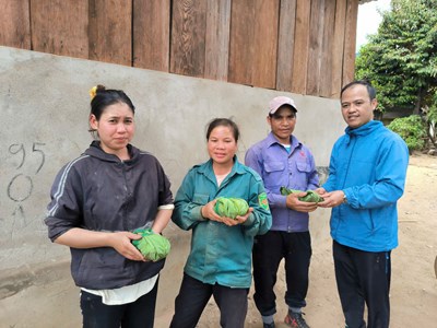 Kon Tum: Cấp phát hơn 3.200 cây giống sâm Ngọc Linh cho hộ nghèo DTTS ở huyện Tu Mơ Rông