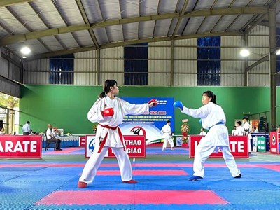 153 VĐV dự Giải vô địch Karate tỉnh Bình Dương 2024