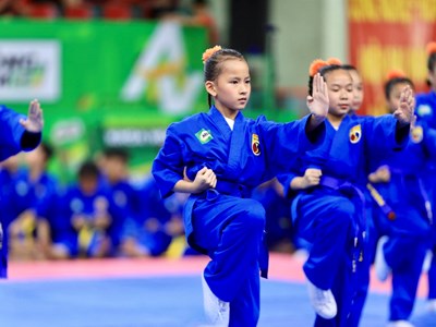 Ngày hội Vovinam của học sinh TP.HCM