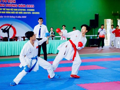 Bình Dương: Khai mạc Giải vô địch Karate 2025