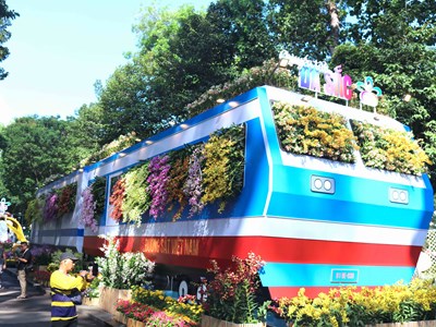 TP.HCM: Khai mạc Festival hoa lan lần 3 năm 2025