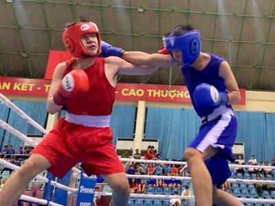 Gần 500 VĐV dự tranh giải Boxing trẻ toàn quốc 2025