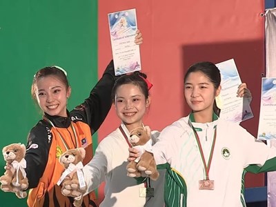 Wushu Việt Nam giành 8 HCV giải thái cực quyền thế giới 