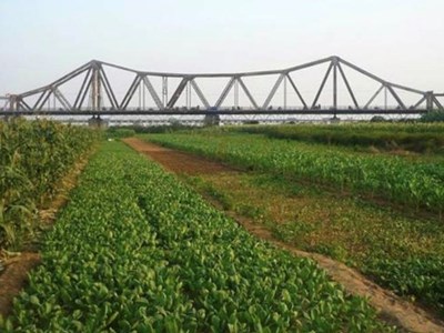 Giải “cơn khát” không gian sáng tạo bền vững