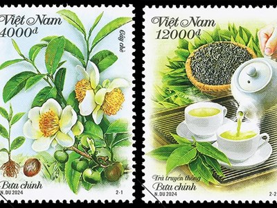 Phát hành bộ tem “Cây chè,” quảng bá văn hóa trà của người Việt Nam