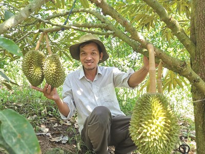 Phát triển kinh tế từ mô hình chăn nuôi kết hợp trồng trọt