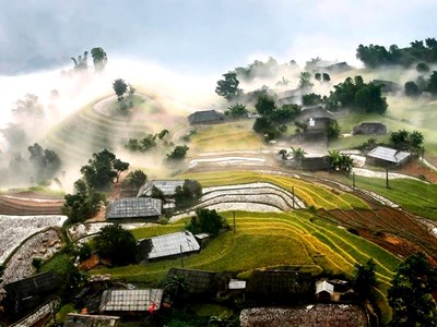  Khám phá mùa vàng giữa rừng xanh