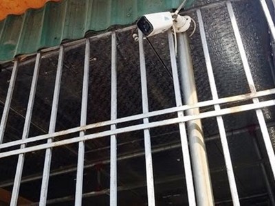 Về vùng quê “phạt nguội” người để chó thả rông