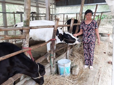 Động lực để phát triển kinh tế, giảm nghèo bền vững