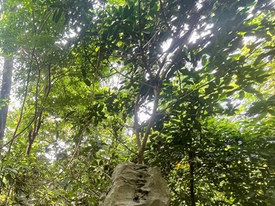 Báo động nguy cơ sạt lở đất, đá