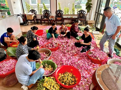  Phát huy giá trị hoa sen Tây Hồ