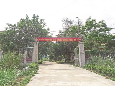 Khó khăn như ở Làng thanh niên lập nghiệp Sông Chàng