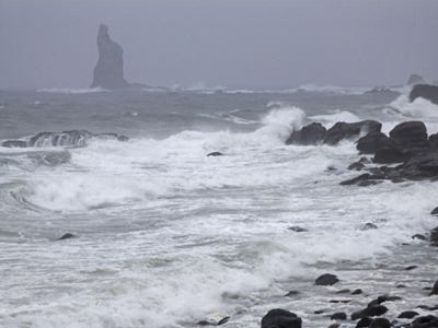 Nhật Bản ban hành “cảnh báo đặc biệt” khi bão Shanshan sắp đổ bộ