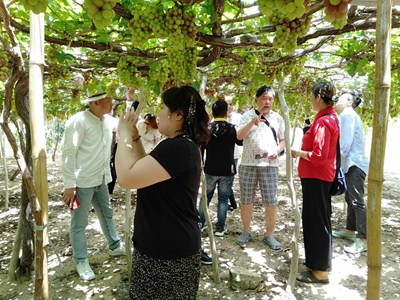 Chung tay để du lịch nông nghiệp phát triển